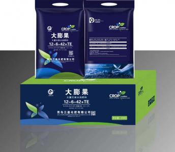 大膨果