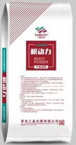根动力2